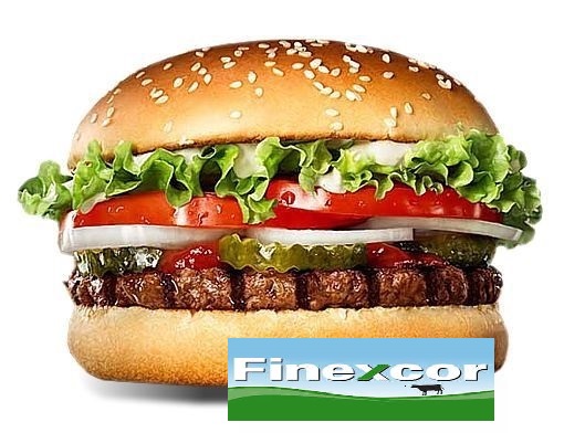 12 Hamburguesas FINEXCORS s/pan